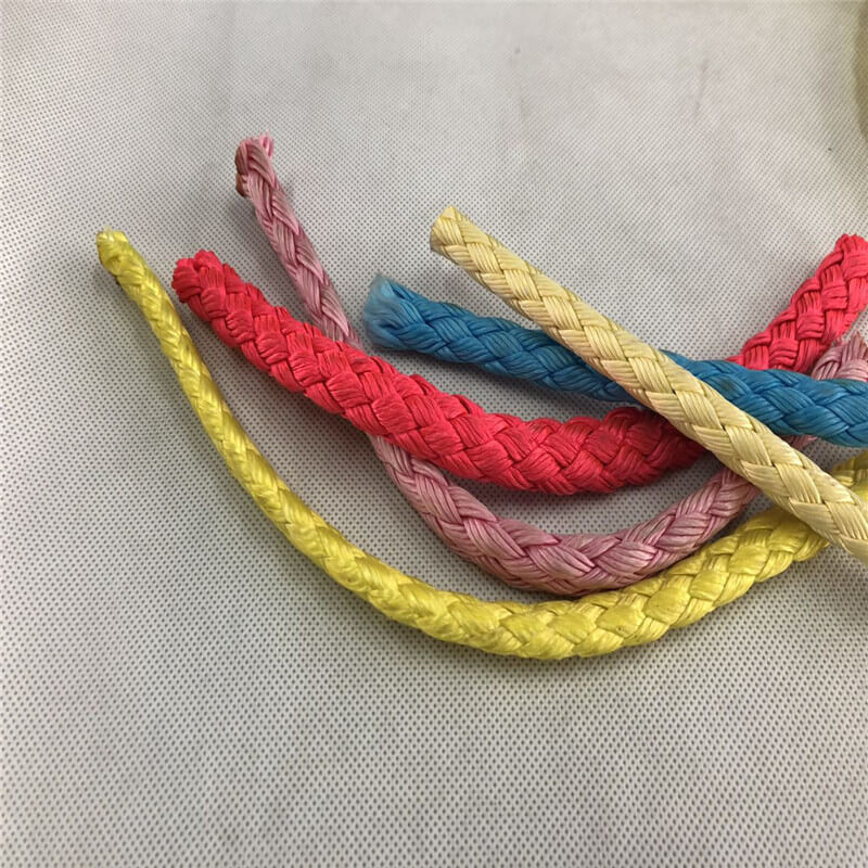 Paper carrier rope with special surface treatment
